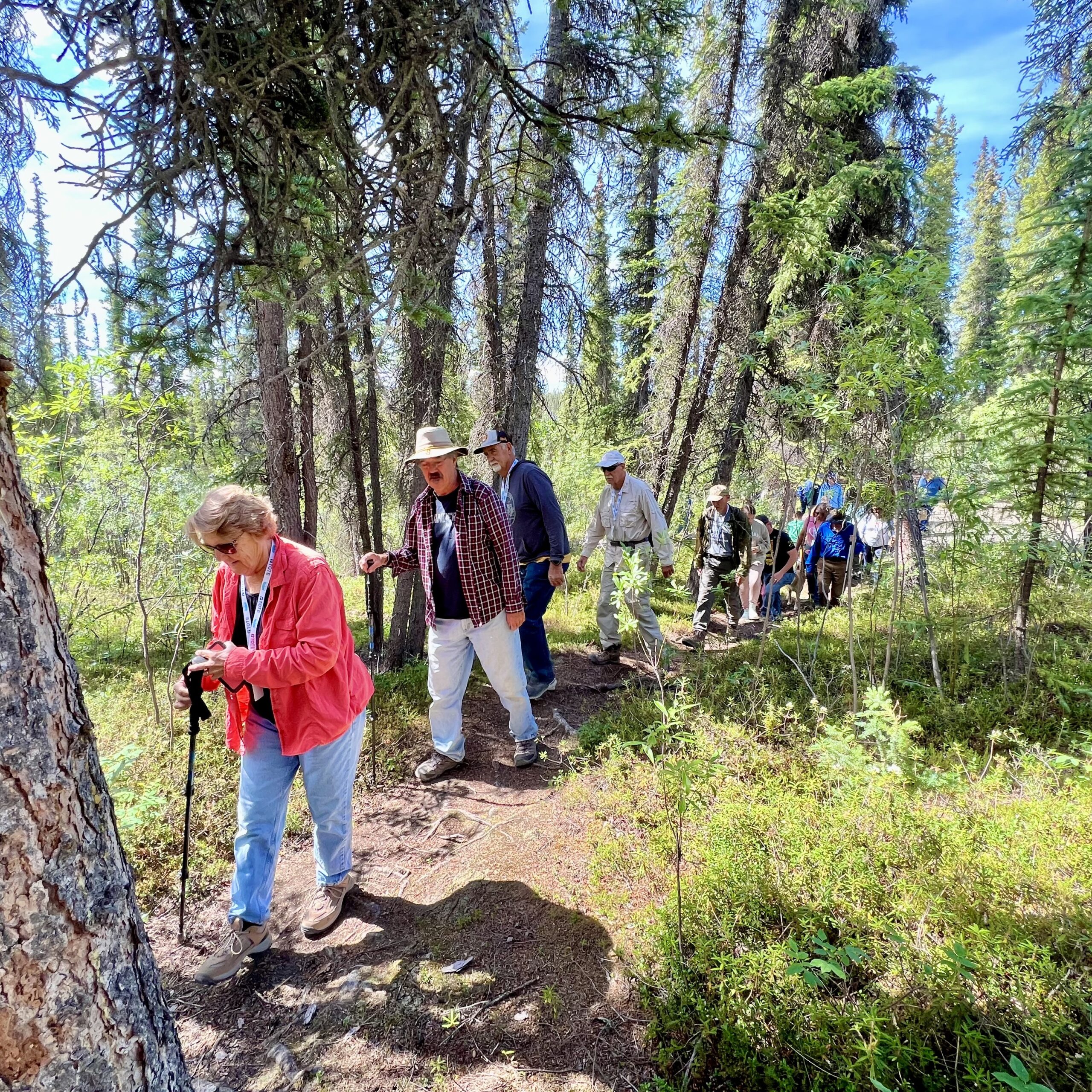 Group Hikes in Denali State Park